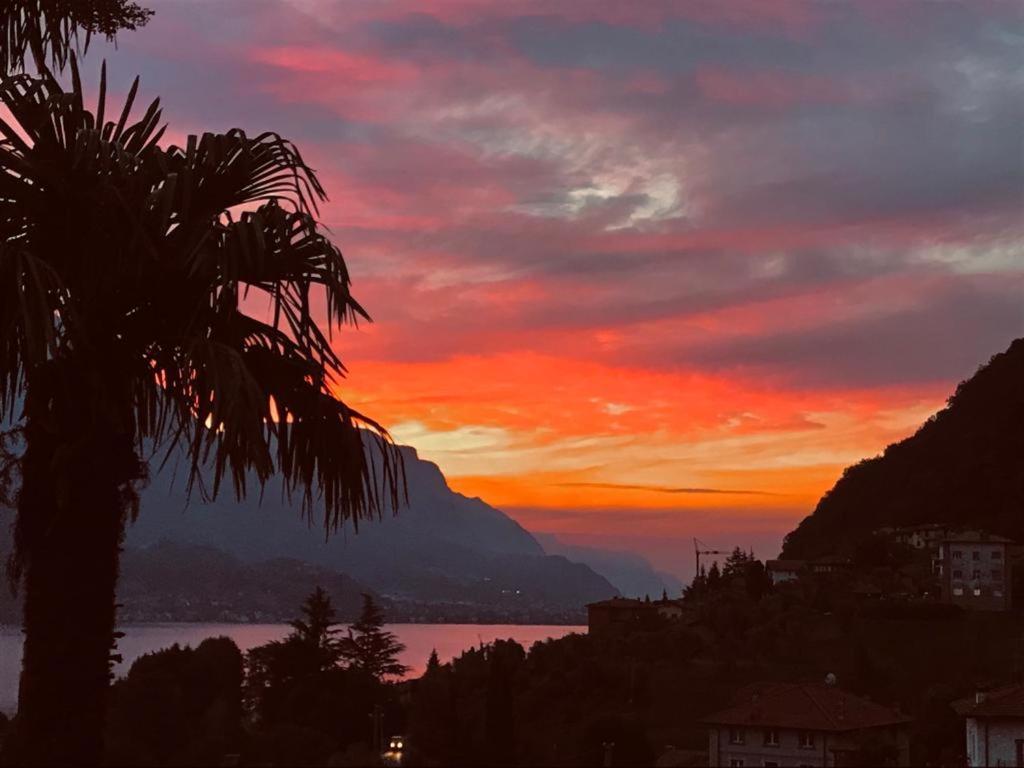 Villa Mojana Bellagio Oliveto Lario Ngoại thất bức ảnh